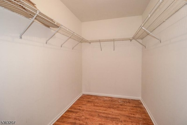 8 Staudt Ct, Franklin Twp, NJ 08873 - spacious closet featuring wood finished floors