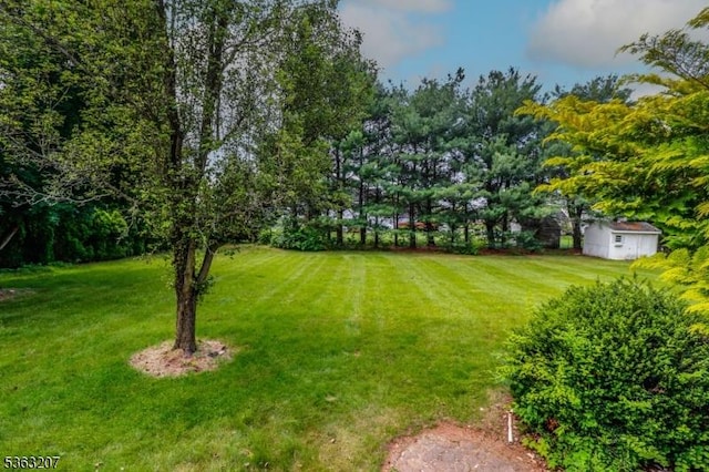 8 Staudt Ct, Franklin Twp, NJ 08873 - view of grassy yard with an outdoor structure