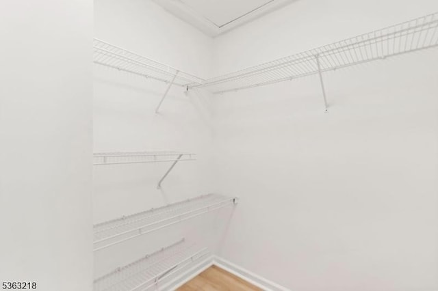 133 Marlboro Cir, Lopatcong Twp, NJ 08886 - walk in closet with light wood finished floors