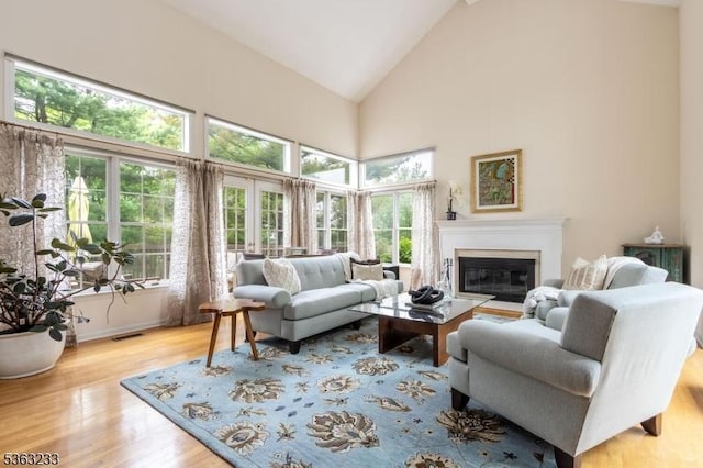 21 Stafford Ln, Bedminster Twp, NJ 07921 - living area featuring high vaulted ceiling, wood finished floors, and a glass covered fireplace