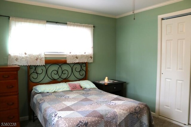 75 Sunrise Ter, Cedar Grove Twp, NJ 07009 - bedroom with crown molding, carpet floors, and baseboards