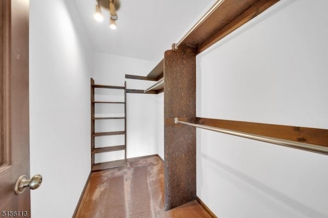 23 Bohnert Pl, Waldwick Boro, NJ 07463 - walk in closet featuring carpet flooring