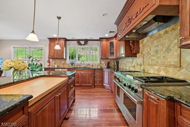 14 Mount Freedom Ave, Randolph Twp, NJ 07869 - kitchen featuring high end stainless steel range oven, custom exhaust hood, pendant lighting, dark wood-type flooring, and tasteful backsplash