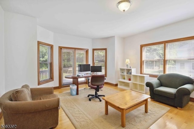 13 E Cove Ln, Morris Twp, NJ 07960 - home office featuring healthy amount of natural light and light wood-style floors