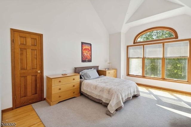 13 E Cove Ln, Morris Twp, NJ 07960 - bedroom with vaulted ceiling and light wood-type flooring