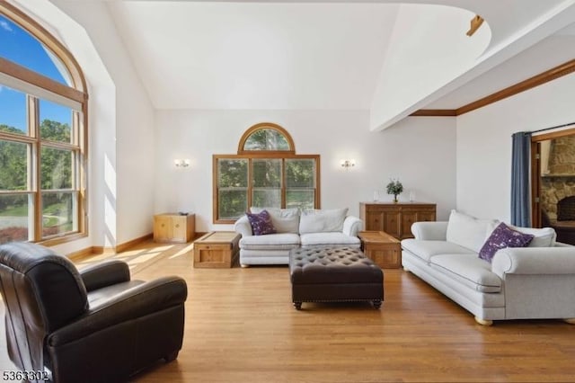 13 E Cove Ln, Morris Twp, NJ 07960 - living room with high vaulted ceiling, light wood finished floors, and baseboards