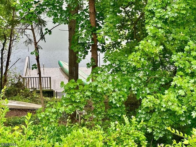 24 Lake Trl, Harding Twp, NJ 07960 - view of dock