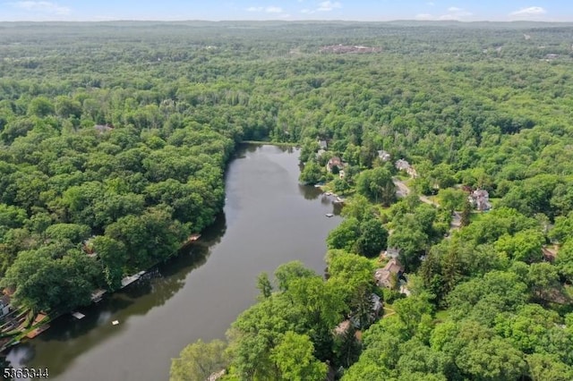 24 Lake Trl, Harding Twp, NJ 07960 - aerial overview of property's location with a heavily wooded area and a large body of water