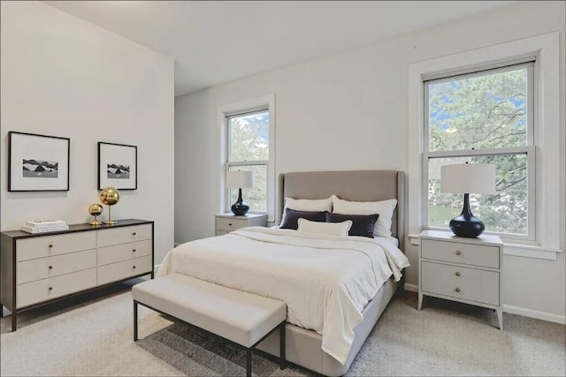 14 Prospect Pl, Morris Twp, NJ 07960 - bedroom with light carpet and baseboards
