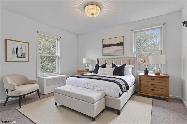 14 Prospect Pl, Morris Twp, NJ 07960 - bedroom with radiator and light colored carpet