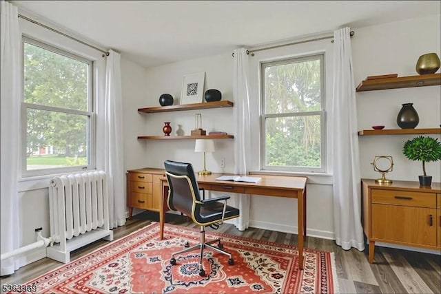 14 Prospect Pl, Morris Twp, NJ 07960 - office featuring radiator heating unit and wood finished floors