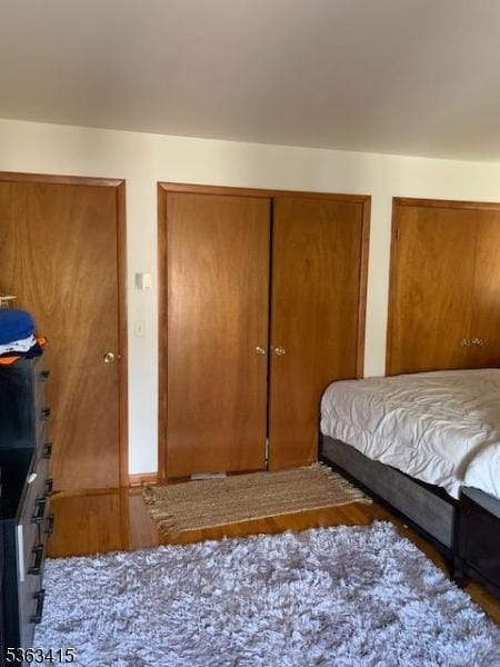 678 Broad St Unit A-4, Clifton City, NJ 07013 - bedroom featuring multiple closets and wood finished floors