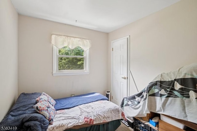 1 Beaver Brook Dr, Vernon Twp, NJ 07461 - view of bedroom
