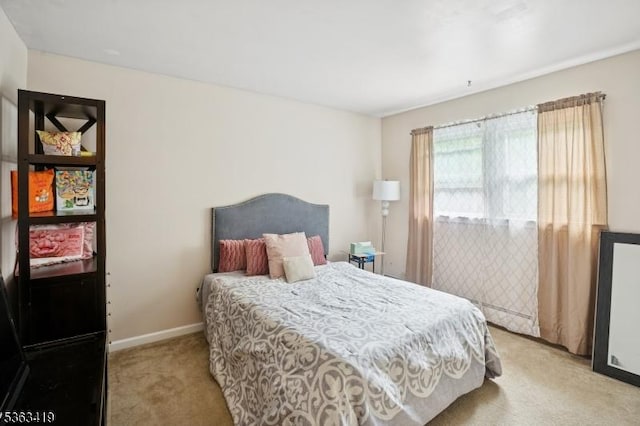 1 Beaver Brook Dr, Vernon Twp, NJ 07461 - bedroom featuring light carpet and baseboards