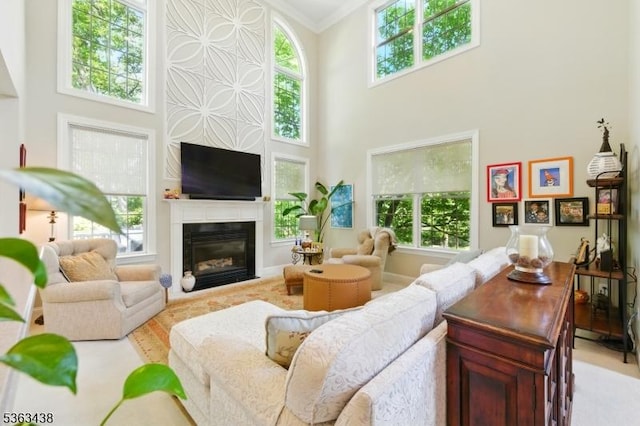 22 Young Ct, Chester Twp, NJ 07930 - living room with a high ceiling, crown molding, and a glass covered fireplace