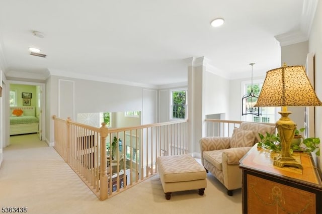 22 Young Ct, Chester Twp, NJ 07930 - hallway with crown molding and carpet