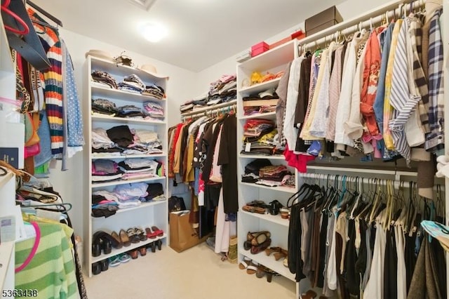 22 Young Ct, Chester Twp, NJ 07930 - spacious closet with carpet