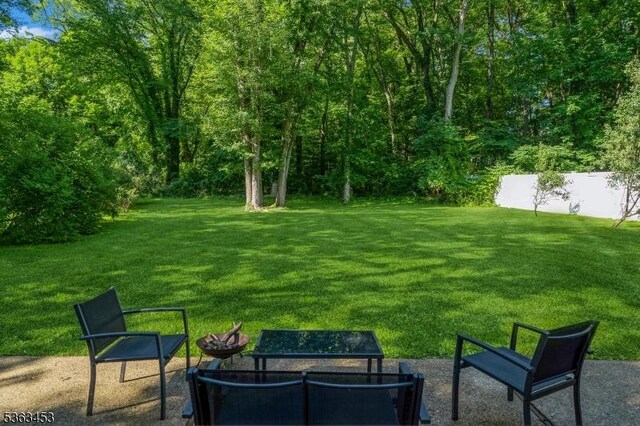 76 W Valley View Dr, Morristown Town, NJ 07960 - view of green lawn