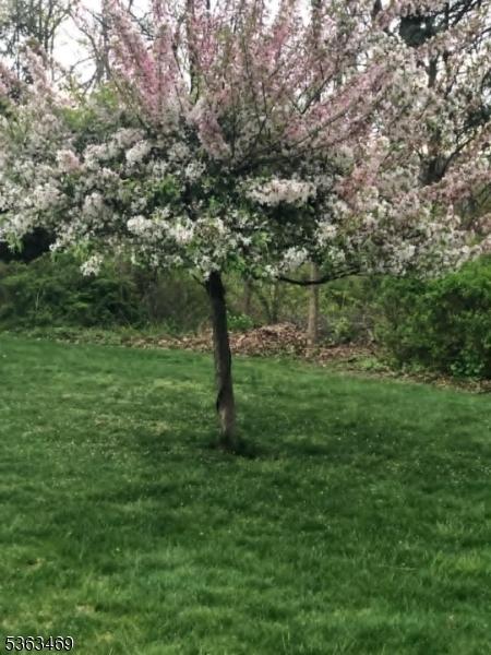 38 Longview Dr, Hanover Twp, NJ 07981 - view of grassy yard