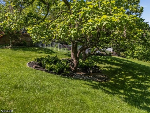 5 Fisher Ct, Raritan Twp, NJ 08822 - view of yard