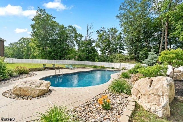 24 Eagles Nest Rd, Green Twp, NJ 07860 - view of swimming pool featuring a patio area, a fenced backyard, and view of scattered trees