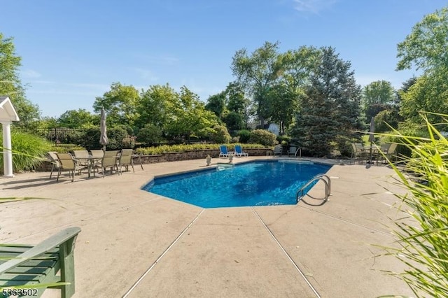 4 Fisher Ct, Raritan Twp, NJ 08822 - swimming pool featuring a patio and view of scattered trees