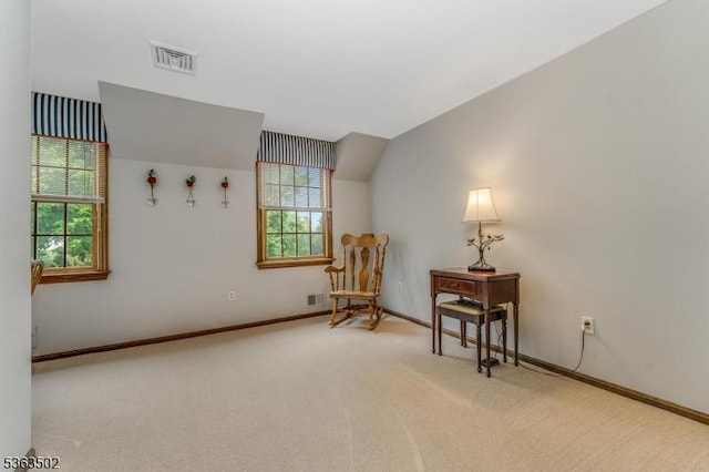 4 Fisher Ct, Raritan Twp, NJ 08822 - sitting room with healthy amount of natural light, carpet flooring, and lofted ceiling
