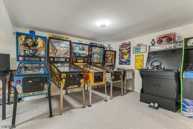 5 Brendan Dr, Mount Olive Twp, NJ 07836 - playroom with carpet