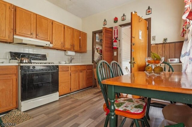 255 Ampere Pkwy, Bloomfield Twp, NJ 07003 - kitchen with gas range, under cabinet range hood, wood finished floors, decorative backsplash, and light countertops