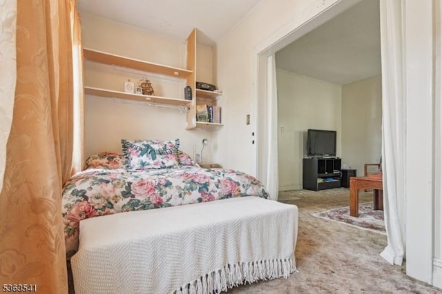 255 Ampere Pkwy, Bloomfield Twp, NJ 07003 - view of carpeted bedroom