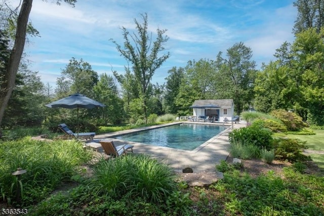 21 Sycamore Hill Rd, Bernardsville Boro, NJ 07924 - outdoor pool with a patio area, an outbuilding, and an exterior structure