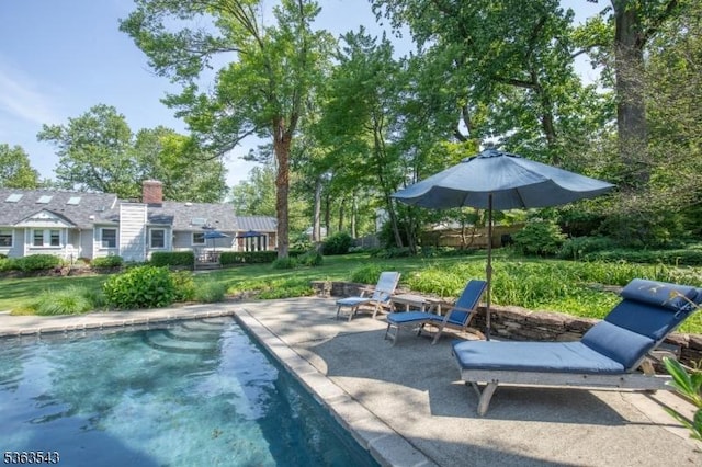 21 Sycamore Hill Rd, Bernardsville Boro, NJ 07924 - swimming pool featuring a patio and a lawn