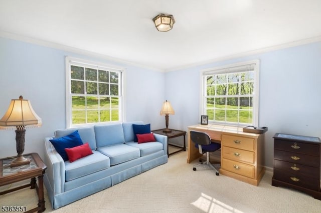 12 Schoolhouse Ln, Morris Twp, NJ 07960 - home office featuring crown molding and light carpet