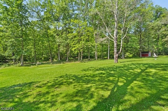12 Schoolhouse Ln, Morris Twp, NJ 07960 - view of green lawn