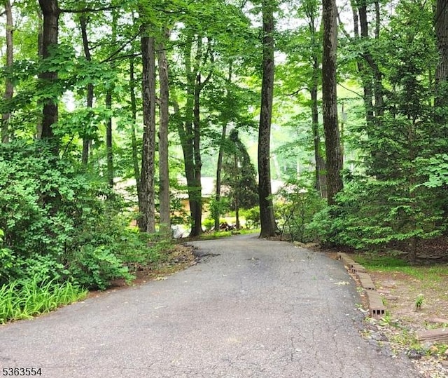 3 Christine Ct, Kinnelon Boro, NJ 07405 - view of road featuring a forest view