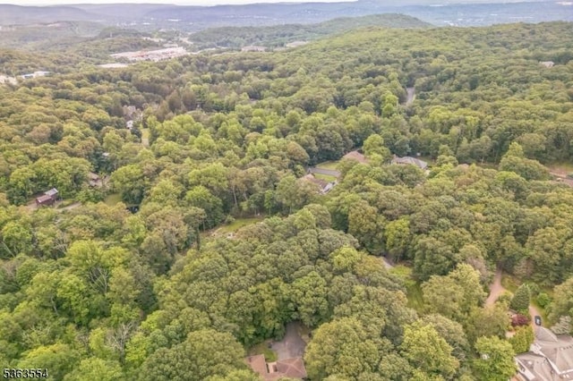 3 Christine Ct, Kinnelon Boro, NJ 07405 - view of property location featuring a heavily wooded area