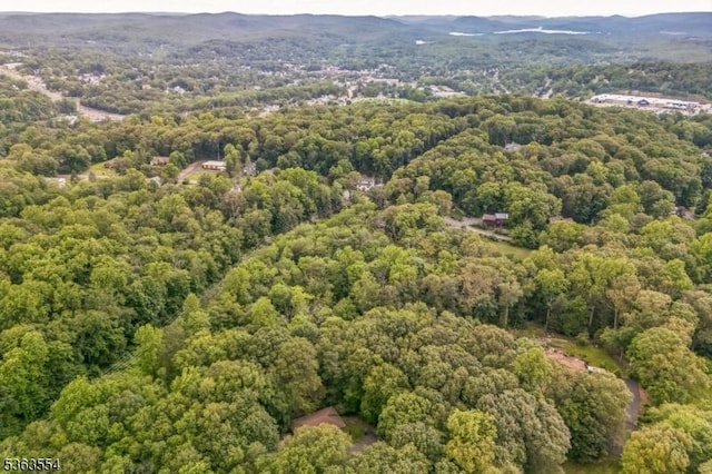3 Christine Ct, Kinnelon Boro, NJ 07405 - aerial overview of property's location with a heavily wooded area and a mountainous background