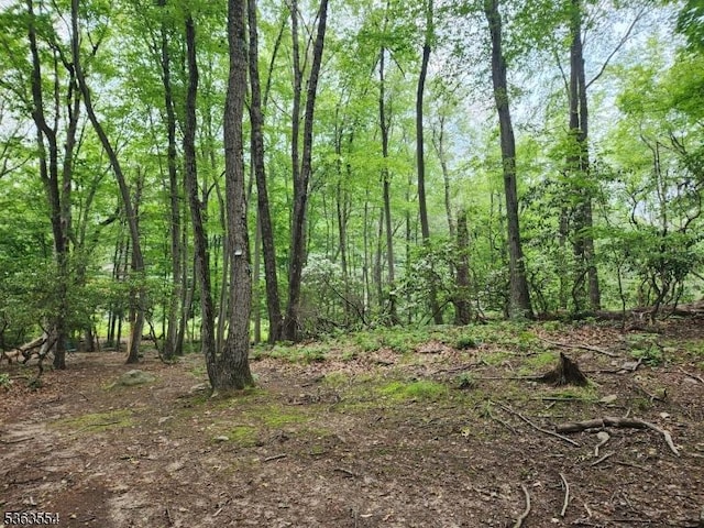 3 Christine Ct, Kinnelon Boro, NJ 07405 - view of nature