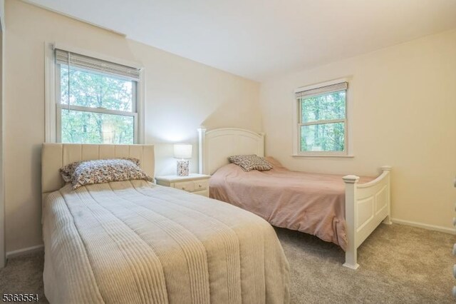 3 Christine Ct, Kinnelon Boro, NJ 07405 - carpeted bedroom with baseboards