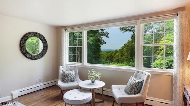 80 Clark Rd, Bernardsville Boro, NJ 07924 - sitting room featuring a baseboard heating unit, healthy amount of natural light, and wood finished floors