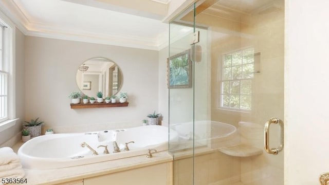 80 Clark Rd, Bernardsville Boro, NJ 07924 - bathroom featuring a garden tub, ornamental molding, and a stall shower
