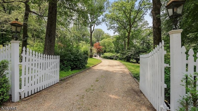 80 Clark Rd, Bernardsville Boro, NJ 07924 - view of dirt / gravel driveway