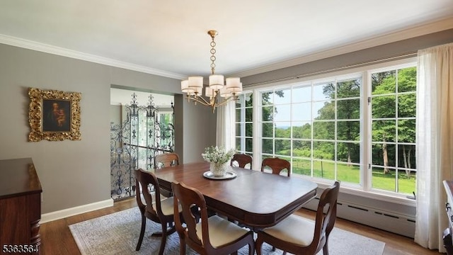 80 Clark Rd, Bernardsville Boro, NJ 07924 - dining space featuring a chandelier, ornamental molding, baseboard heating, and wood finished floors