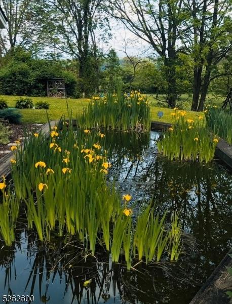 525 Watters Rd, Mansfield Twp, NJ 07840 - view of yard