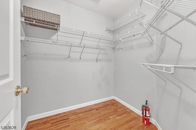 22 Flemming Dr, Hillsborough Twp, NJ 08844 - spacious closet featuring light wood finished floors