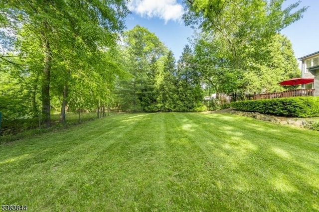 27 Brook Rd, New Providence Boro, NJ 07974 - view of green lawn