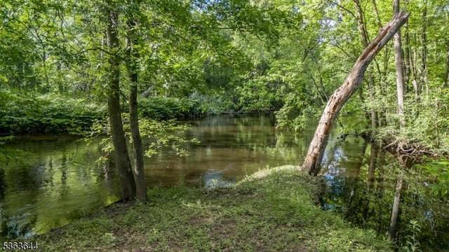 27 Brook Rd, New Providence Boro, NJ 07974 - water view with a heavily wooded area