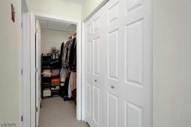 1111 Worthington Ct, Denville Twp, NJ 07834 - walk in closet with light carpet and attic access