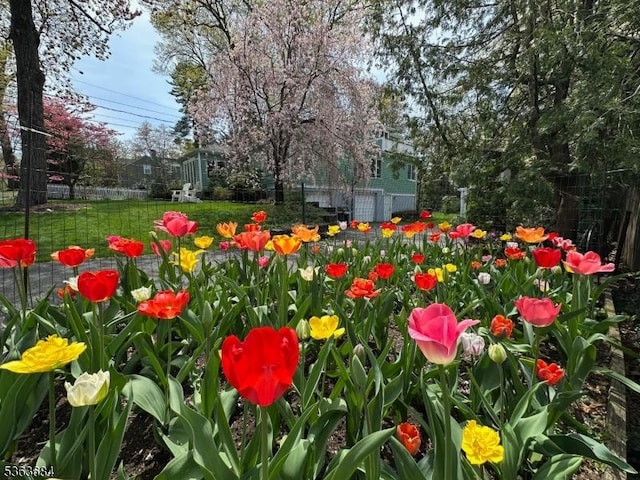 135 Weston Ave, Chatham Boro, NJ 07928 - view of yard