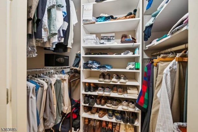 48 Dexter Dr N, Bernards Twp, NJ 07920 - view of spacious closet